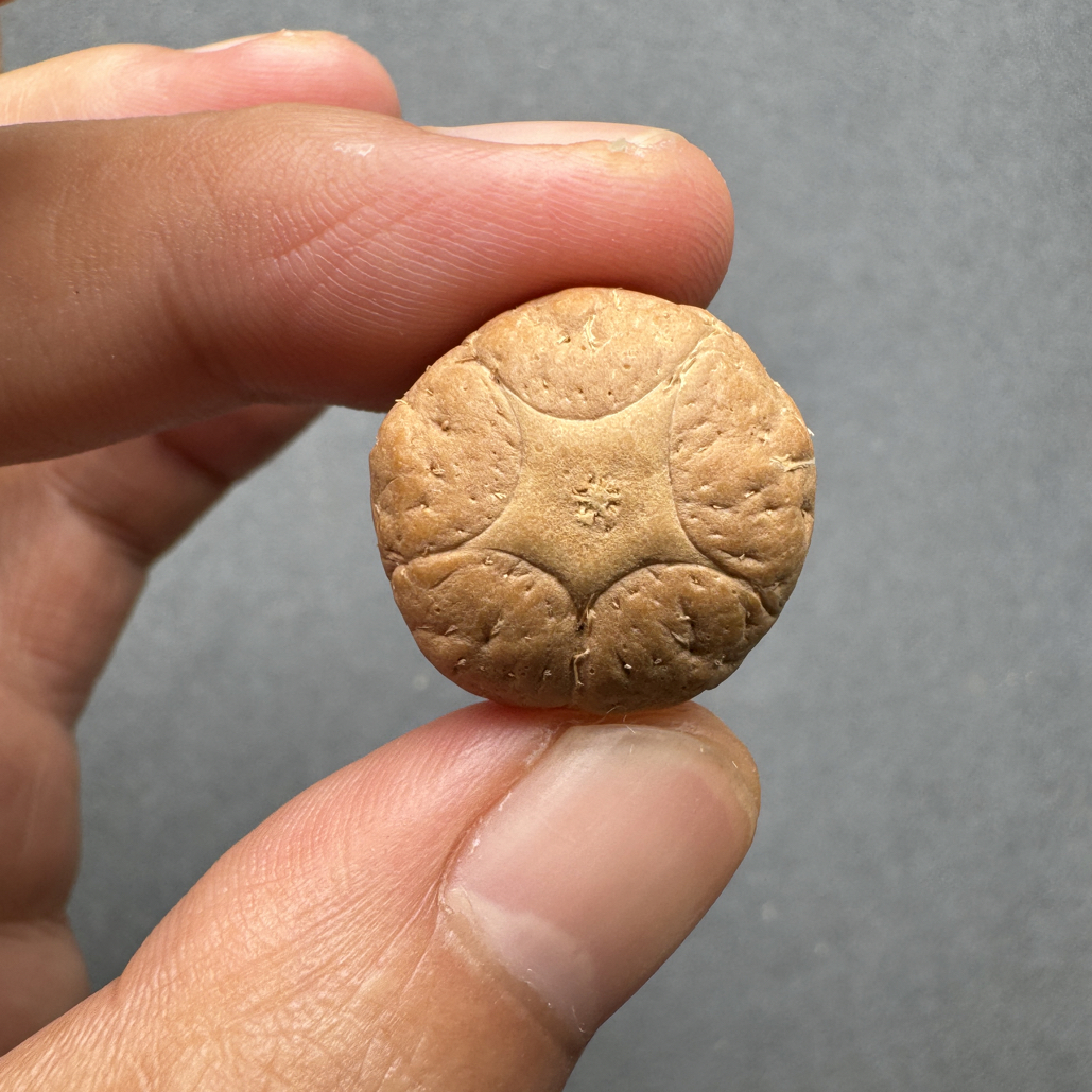 精品21+五星上将菩提凤眼菩提三通佛头，非质量问题开孔不退