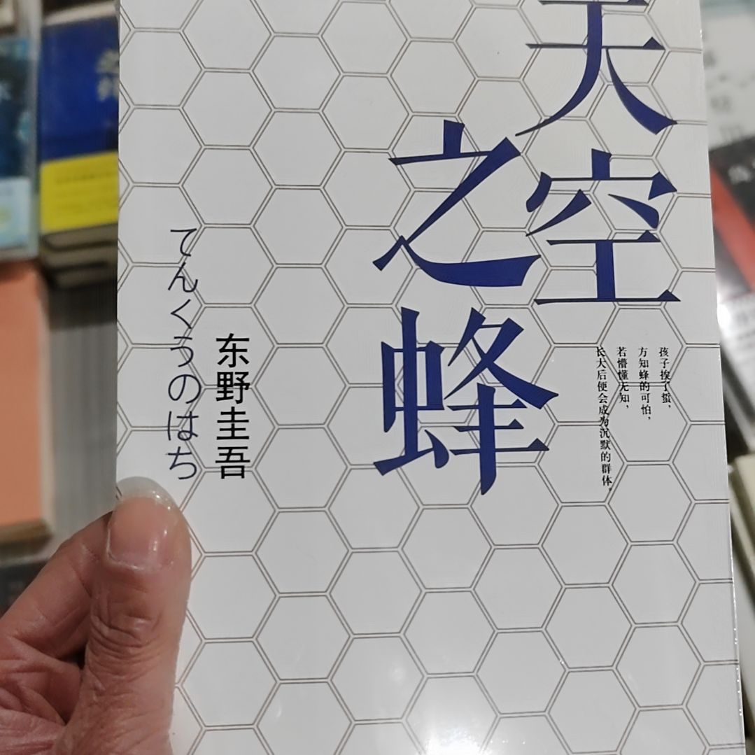 天空之风东野圭吾