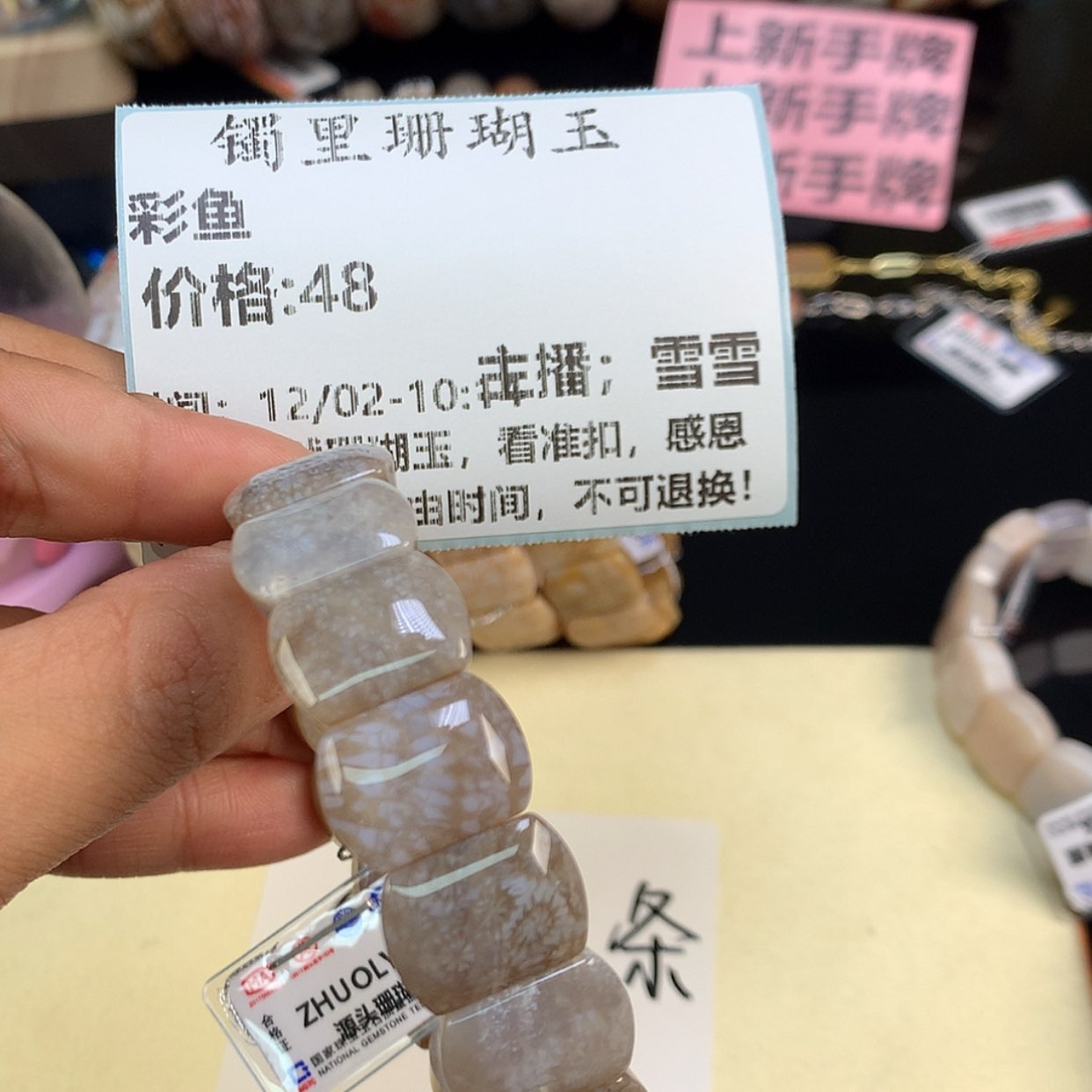 【闪购商品】颈饰未镶嵌硅化珊瑚（珊瑚玉）彩*