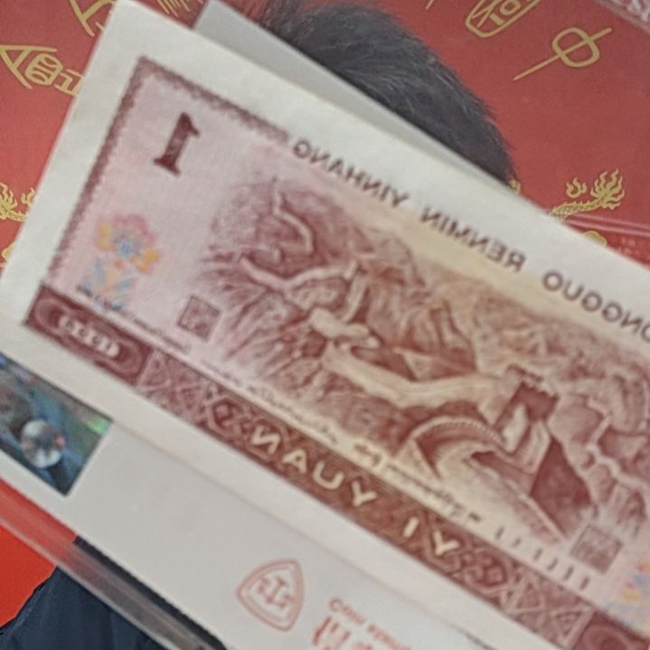 无龙变体楼（H号码随机发货）纸币评级币