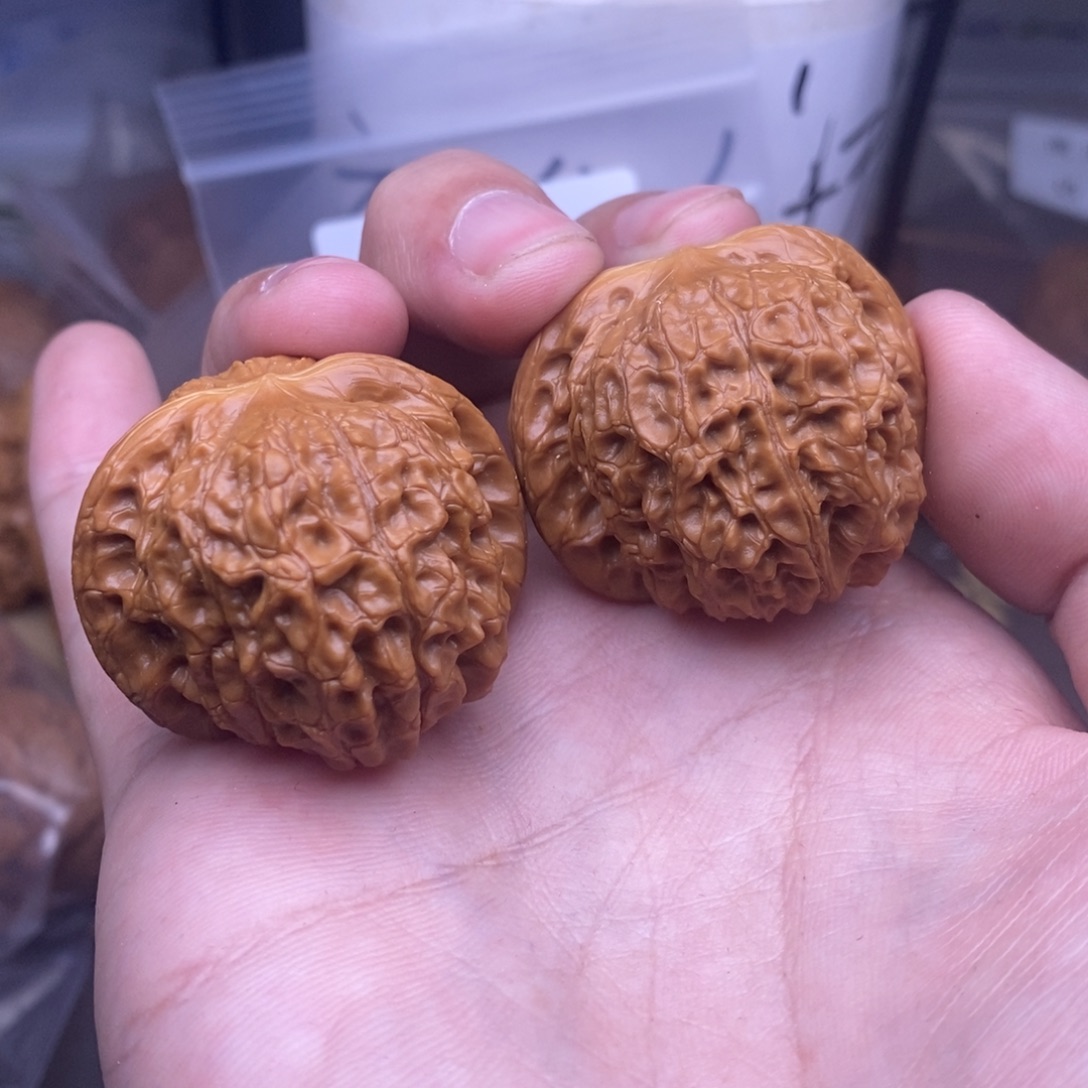 核桃38血麒麟，核桃