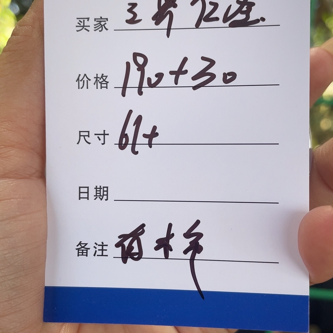 三***圣非金属所见皆所得