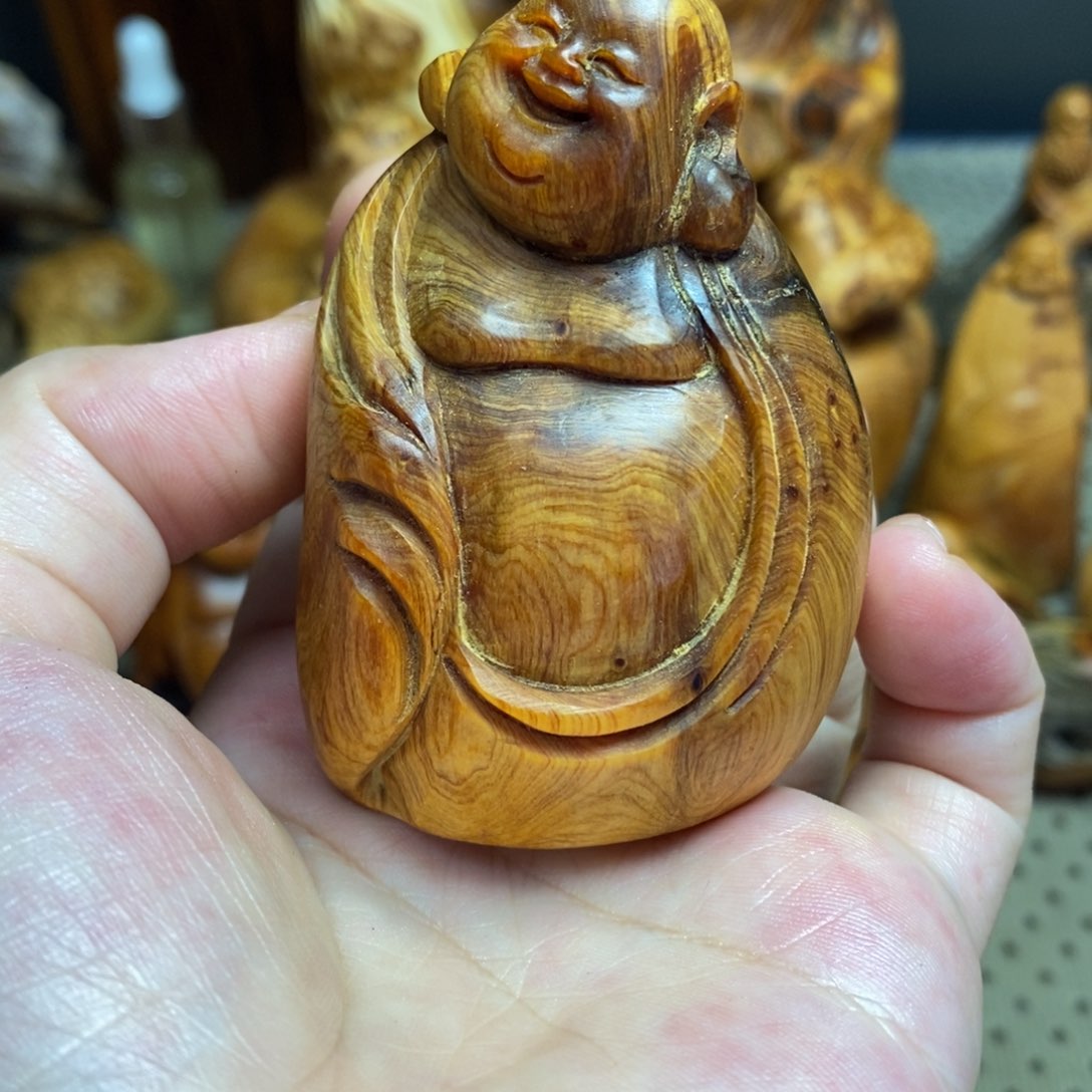 柏木（崖柏）太行山区