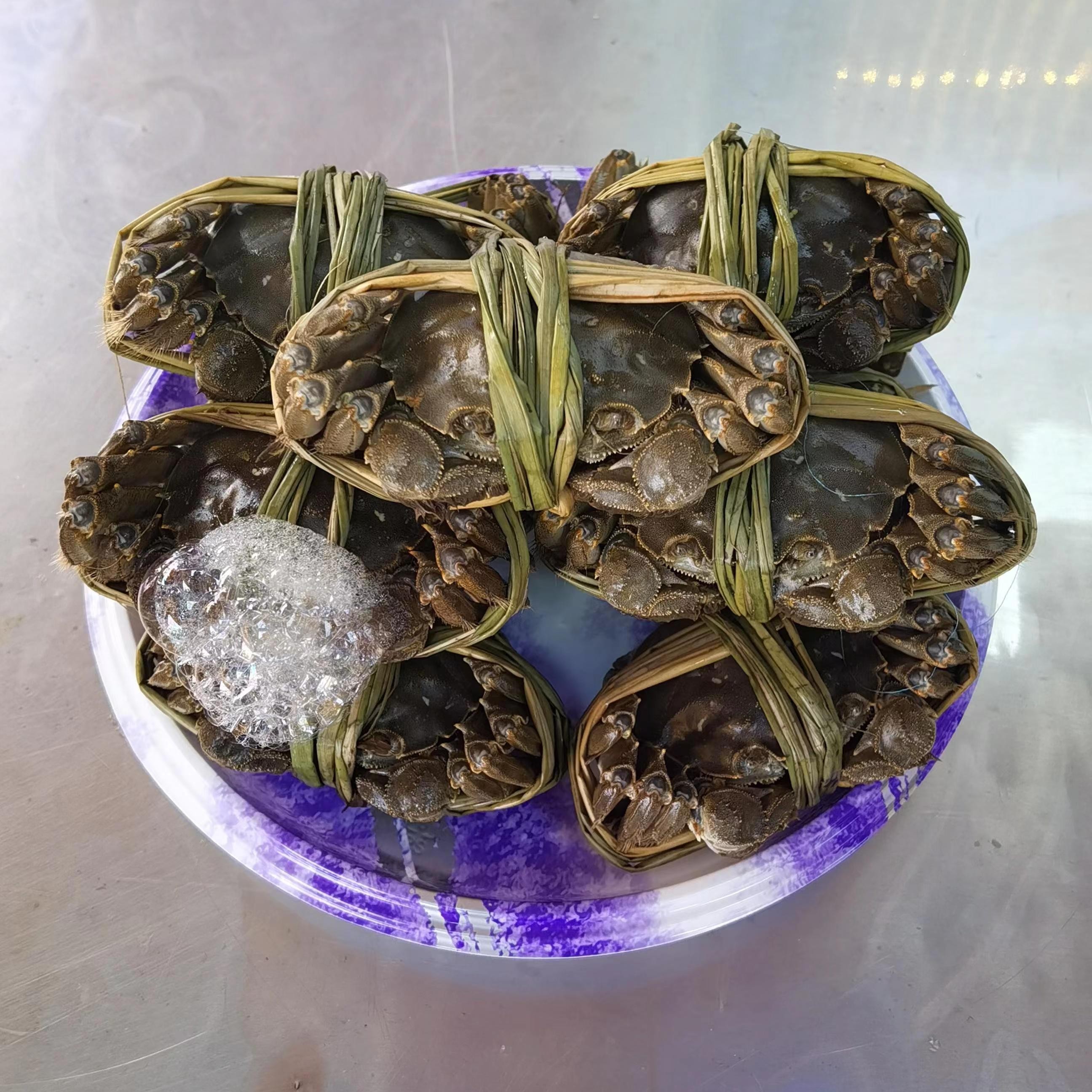 活蟹  江苏精品大闸蟹 福利款   母蟹  二两左右 单只 多规格