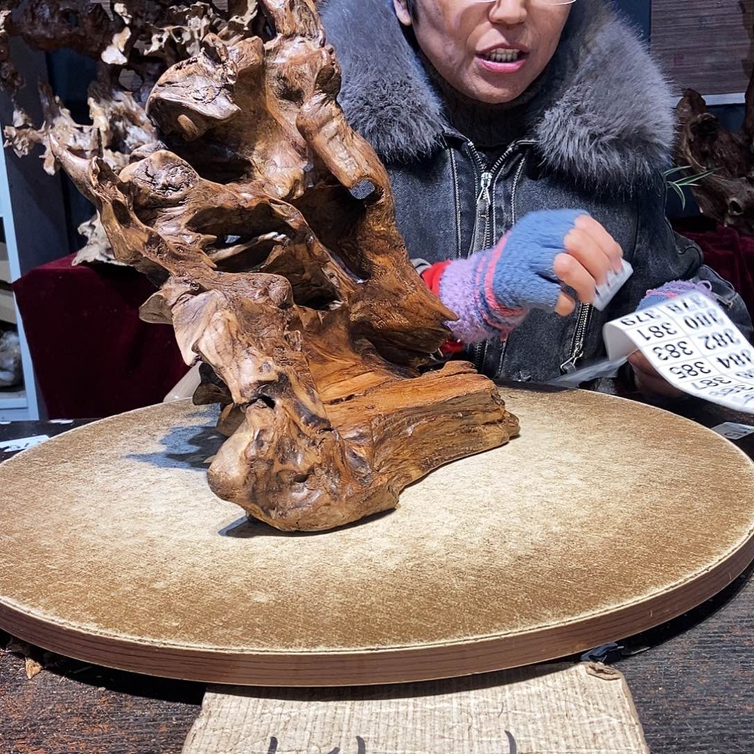 只***鱼377。株木随行根艺