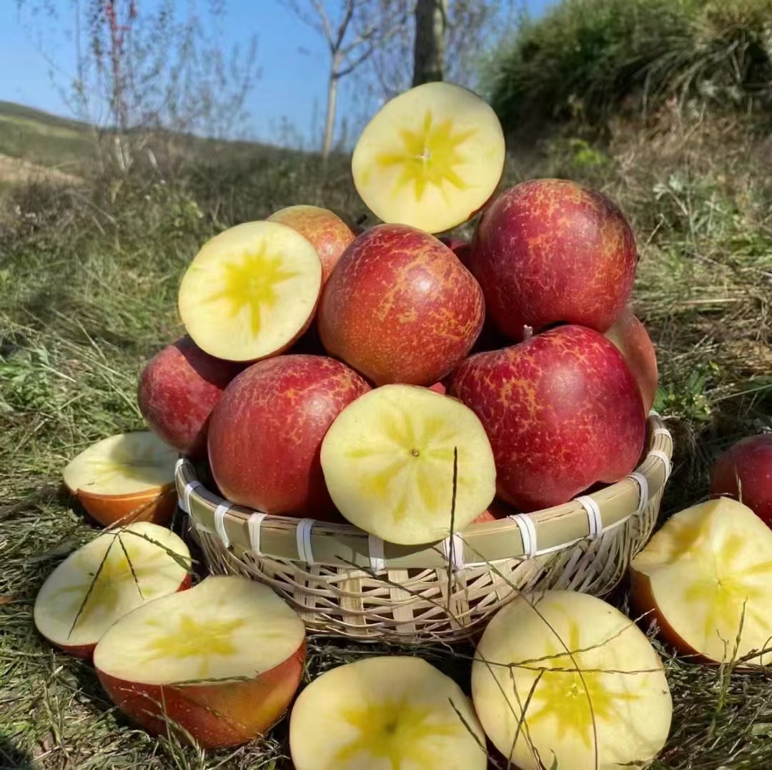 【偏冷地区保温箱发货净重8斤】云南昭通正宗糖心丑苹果脆甜多汁