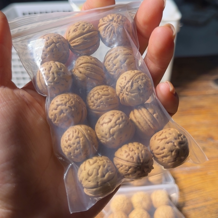 冷***冷吊坠桃核盘锦大肌肉