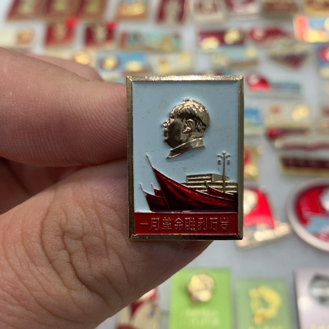 铝红章油彩一月革命胜利万岁