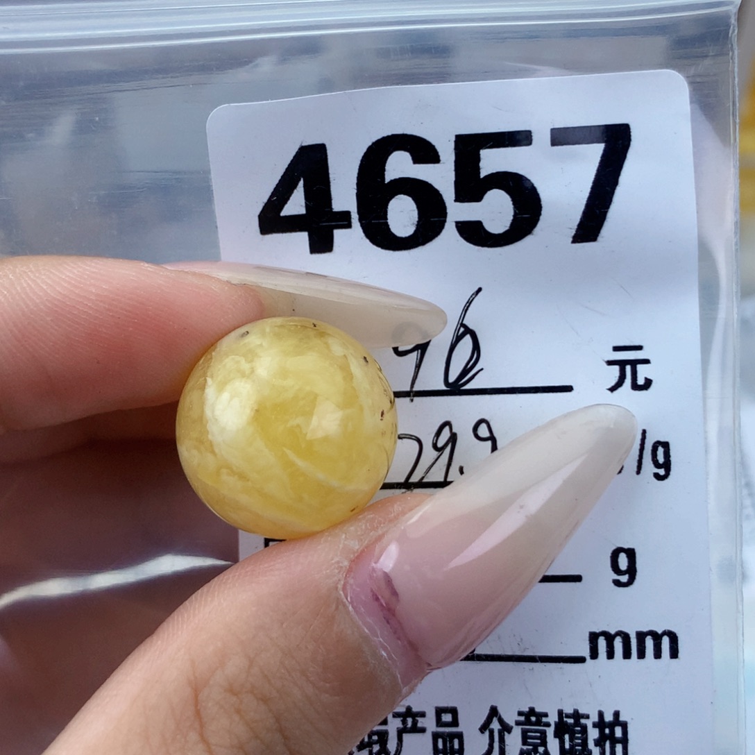 琥珀未镶嵌珠宝奇石18植物