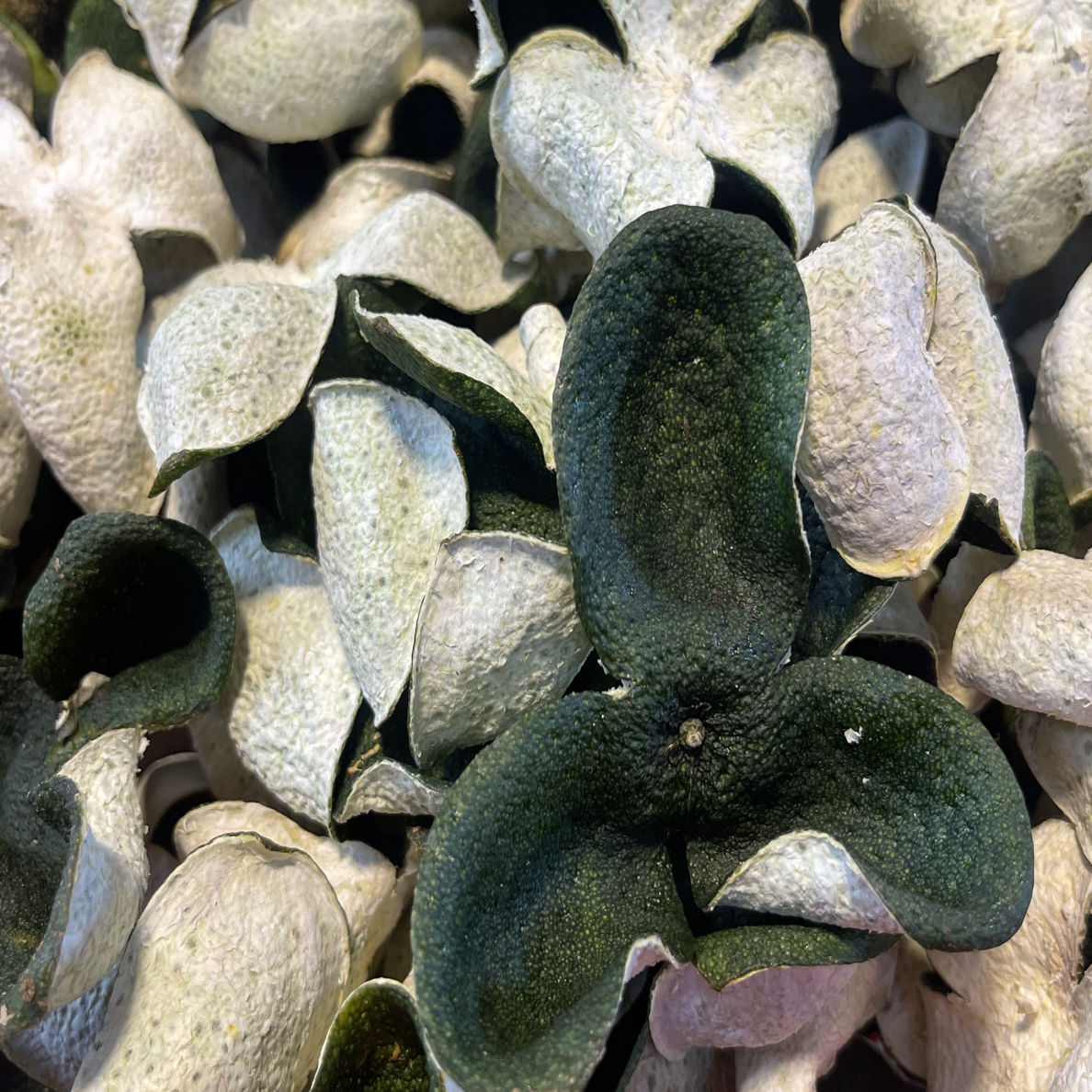 【花香微微甜】2025三江圈枝大青花香自己柑园性价比超高对标核心