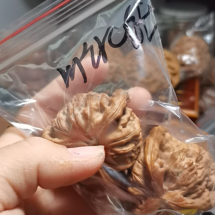 文玩核桃吊坠/****/45精修工艺三棱