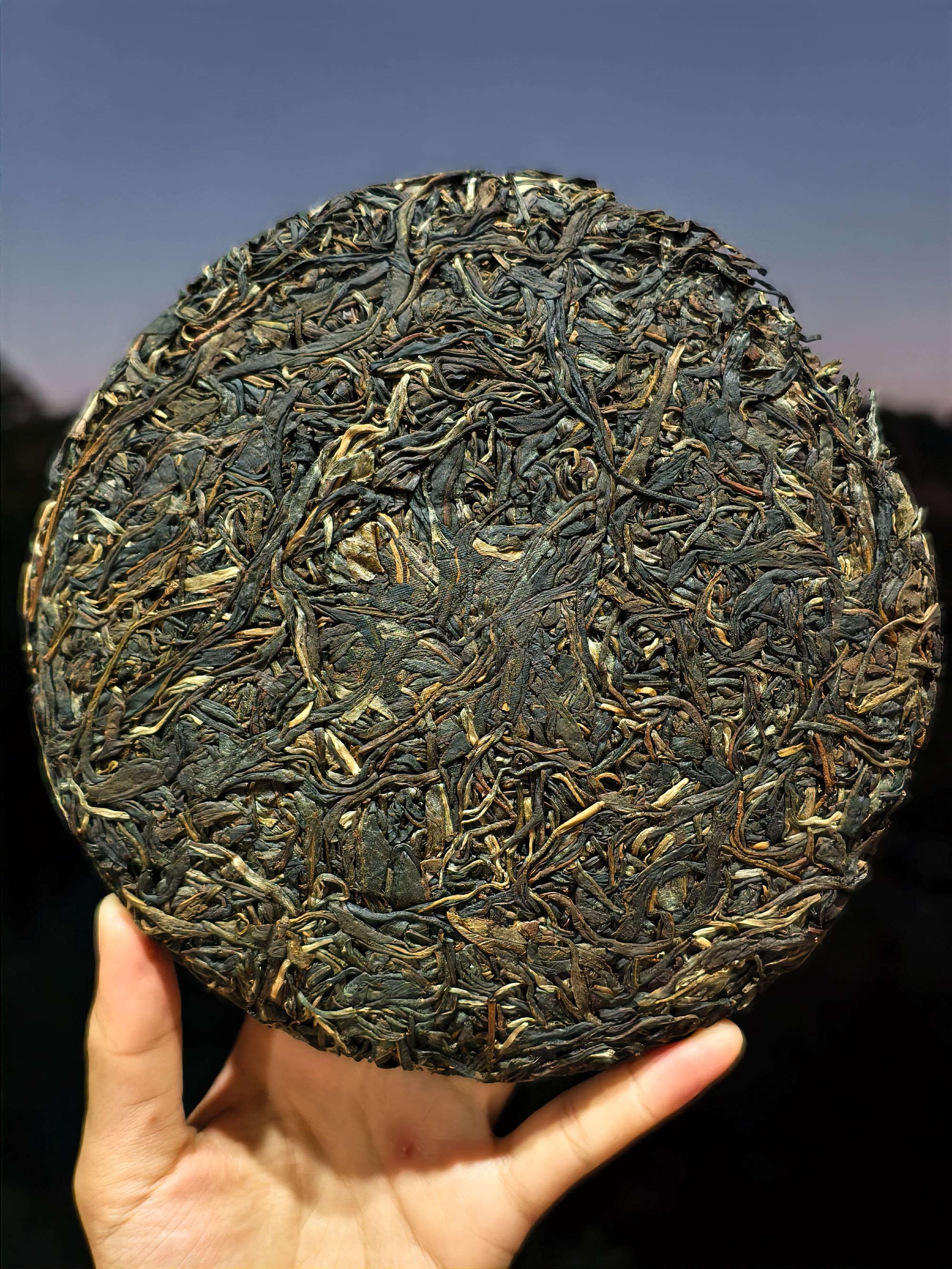 2024年 三合社古树 头春头采 普洱茶生茶 357克/饼（带茶样）