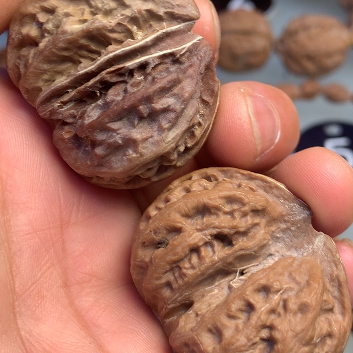 猴头核桃把件拿姐9