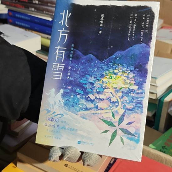 北方有雪两本一套微瑕