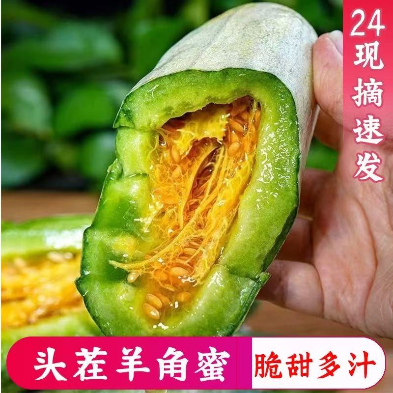 【京东包邮】山东头茬羊角蜜甜瓜新鲜水果脆甜多汁当季现摘香瓜蜜瓜