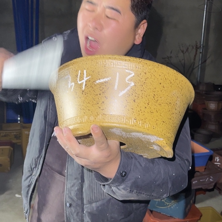 紫砂花盆紫砂花等