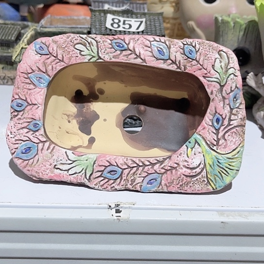 多肉植物花盆花盆