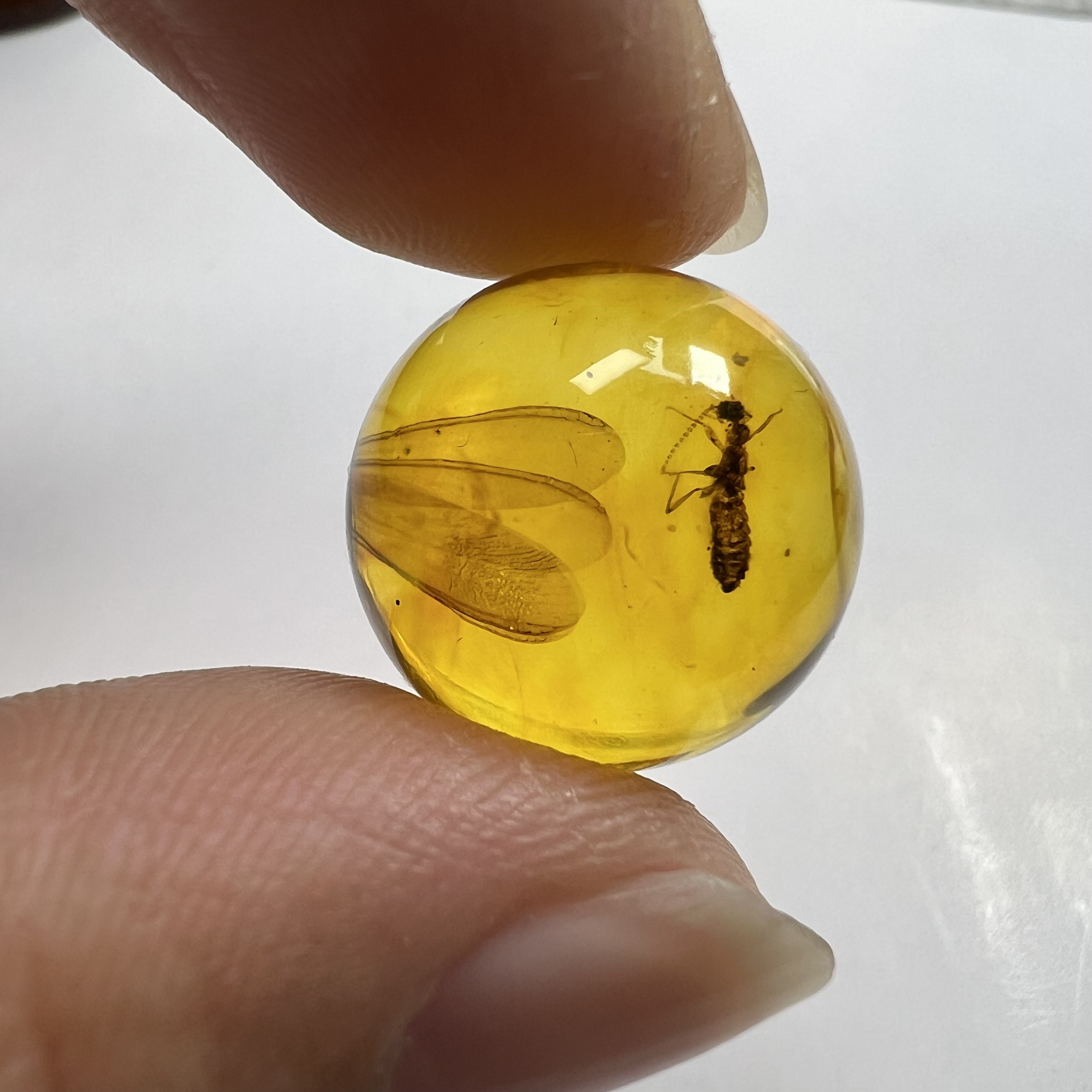 天然虫珀圆珠尺寸：17.8mm