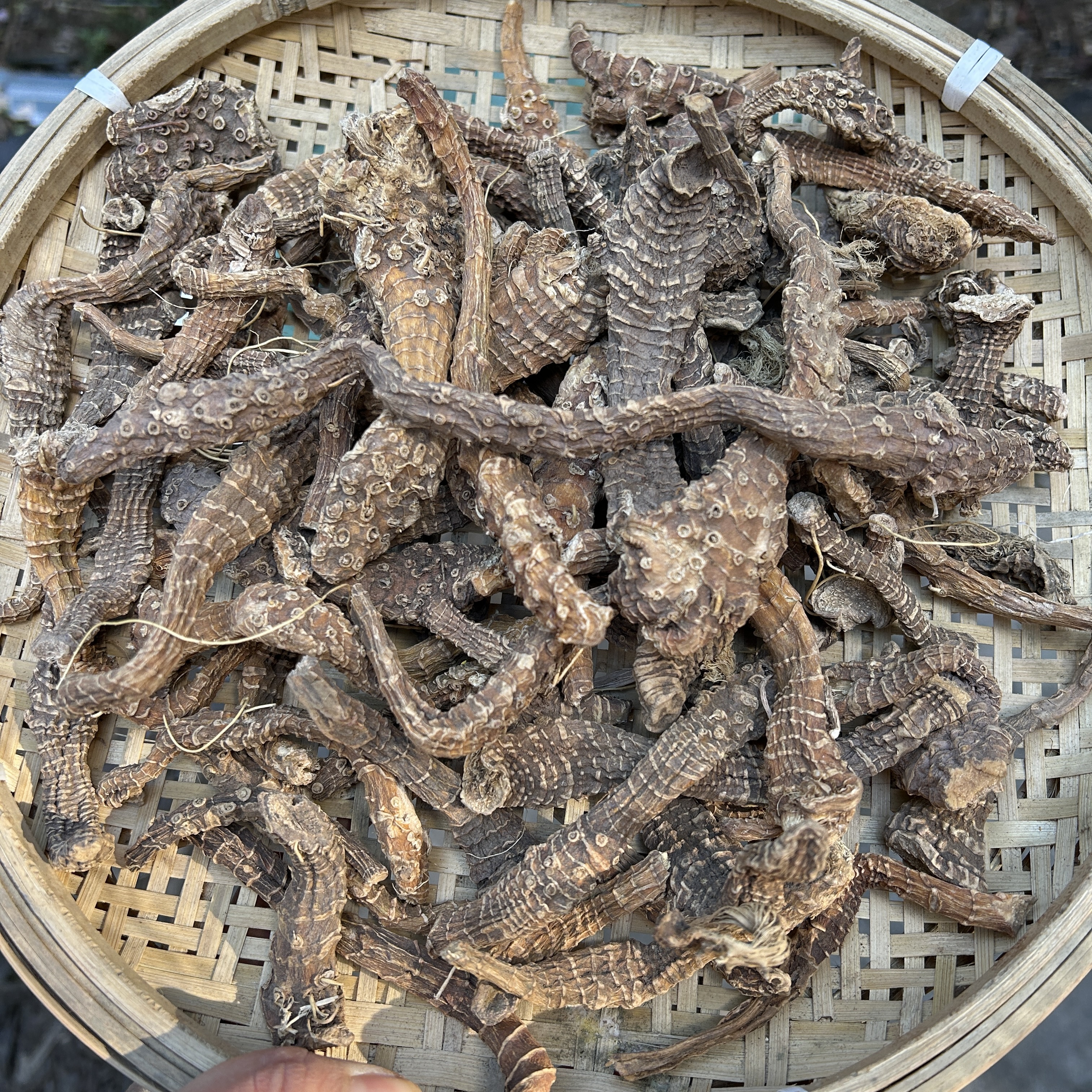 2【阿-勃-参】净含量250g-1500g【阿忠现收现卖】