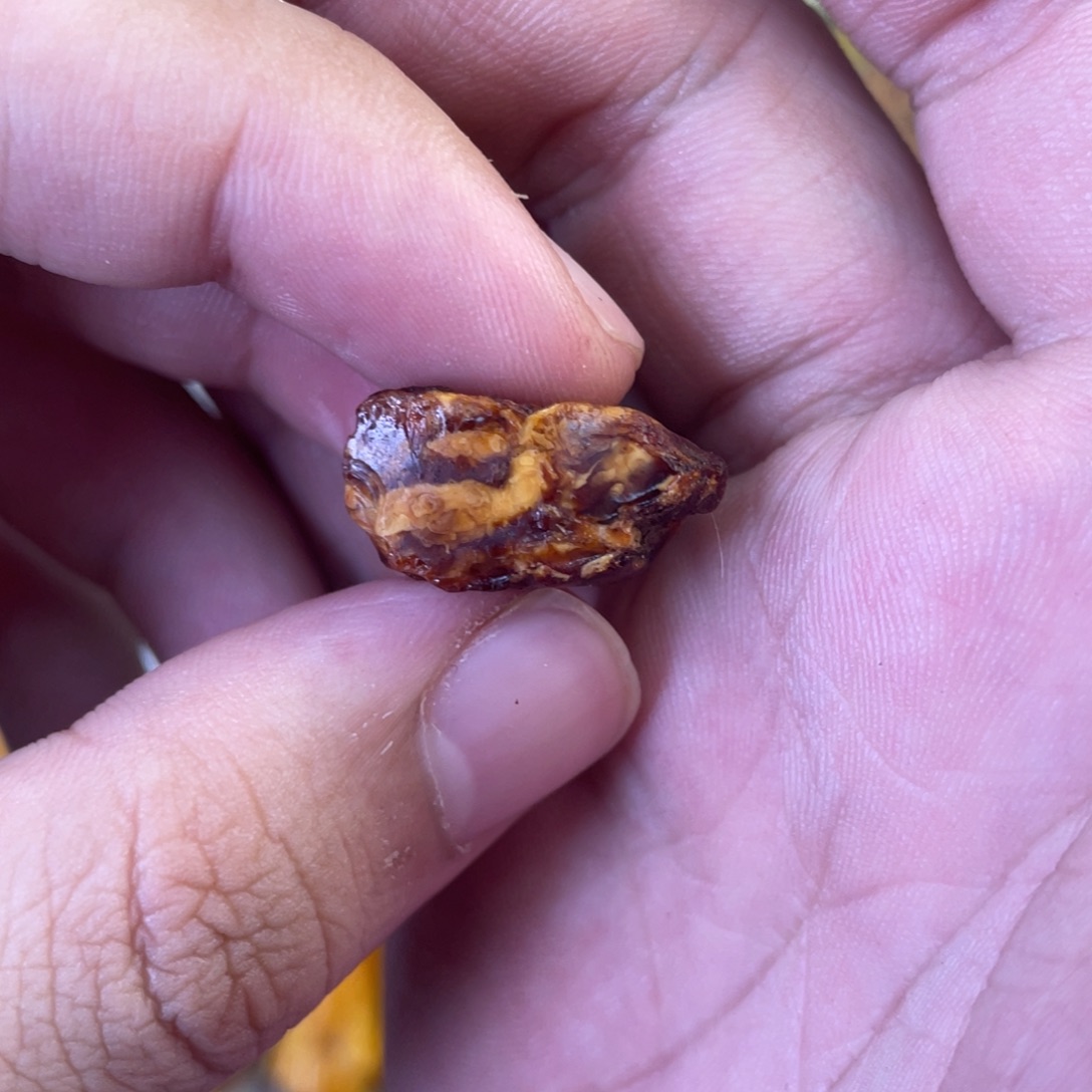 定制琥珀天然琥珀