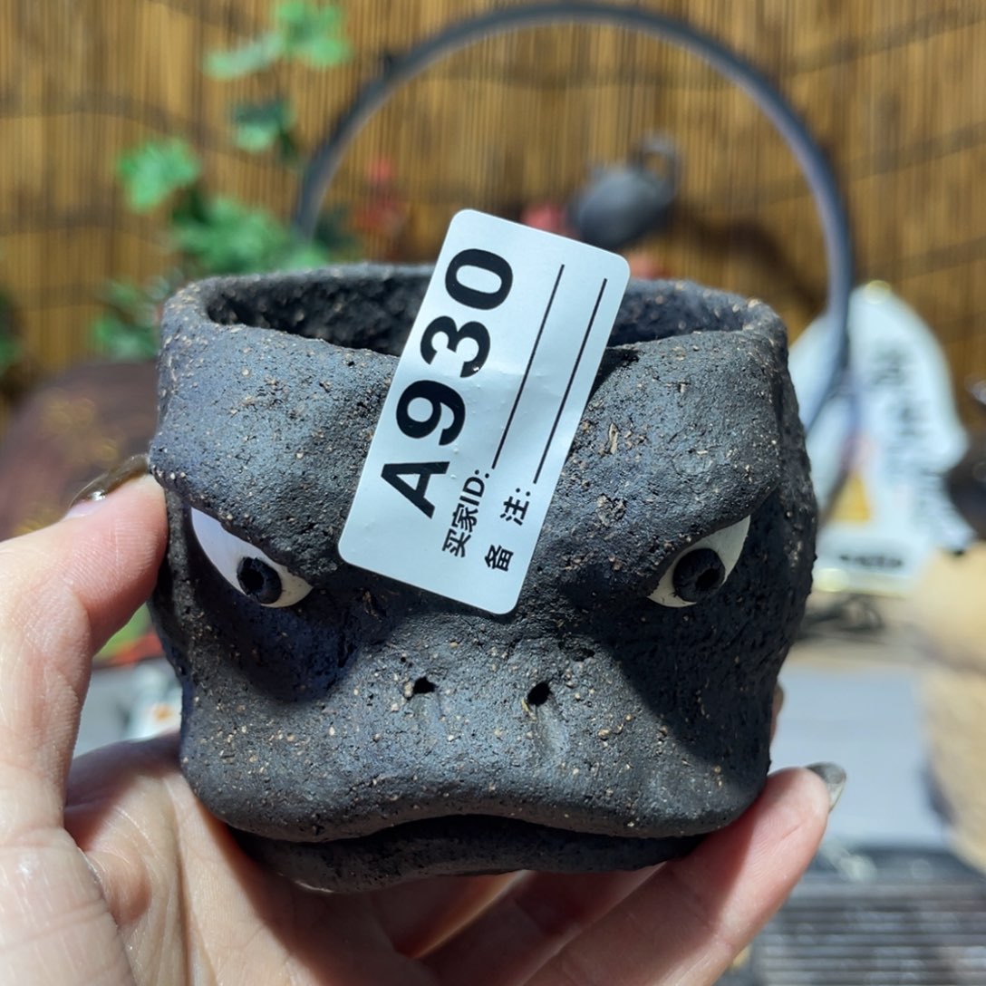 木村信弘柴烧保平