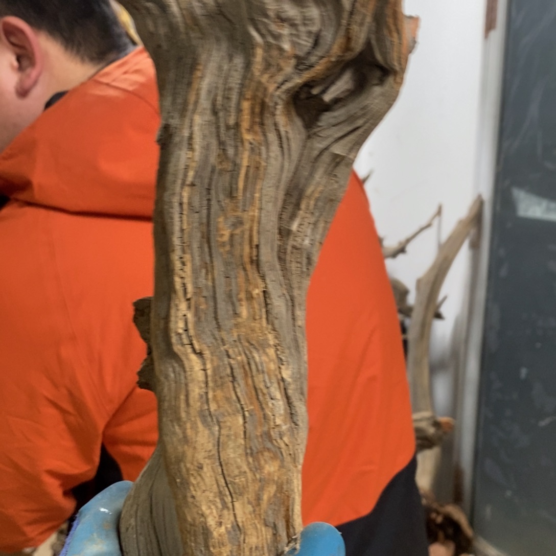 柏木听*我们都是好孩子