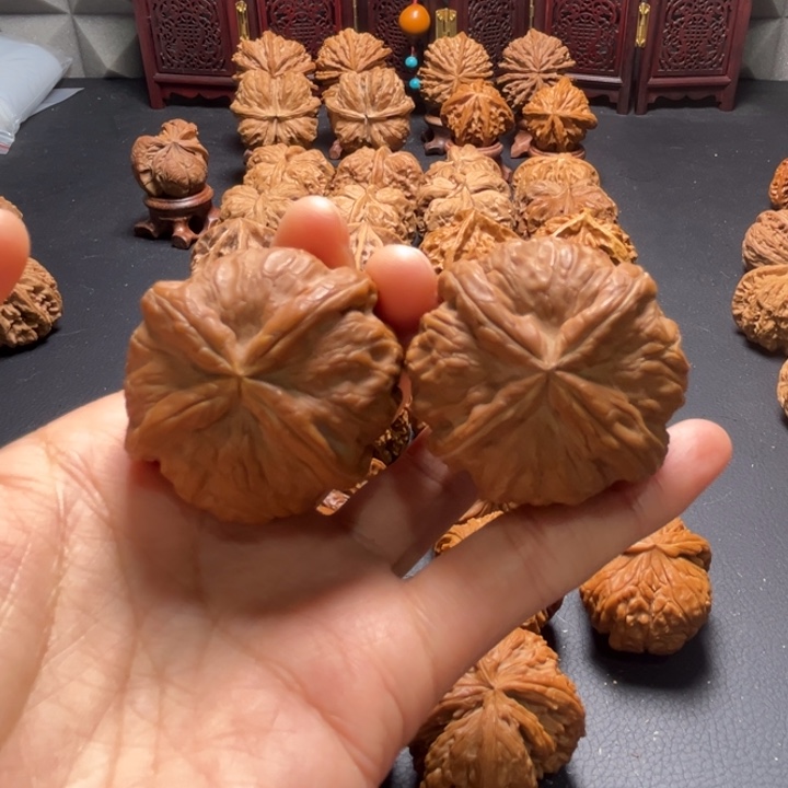 元宝x战警42尺寸核桃哈哈哈哈哈哈