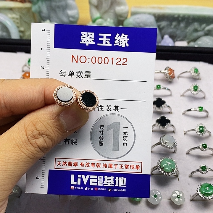 始****翡翠未镶嵌颈饰翡翠