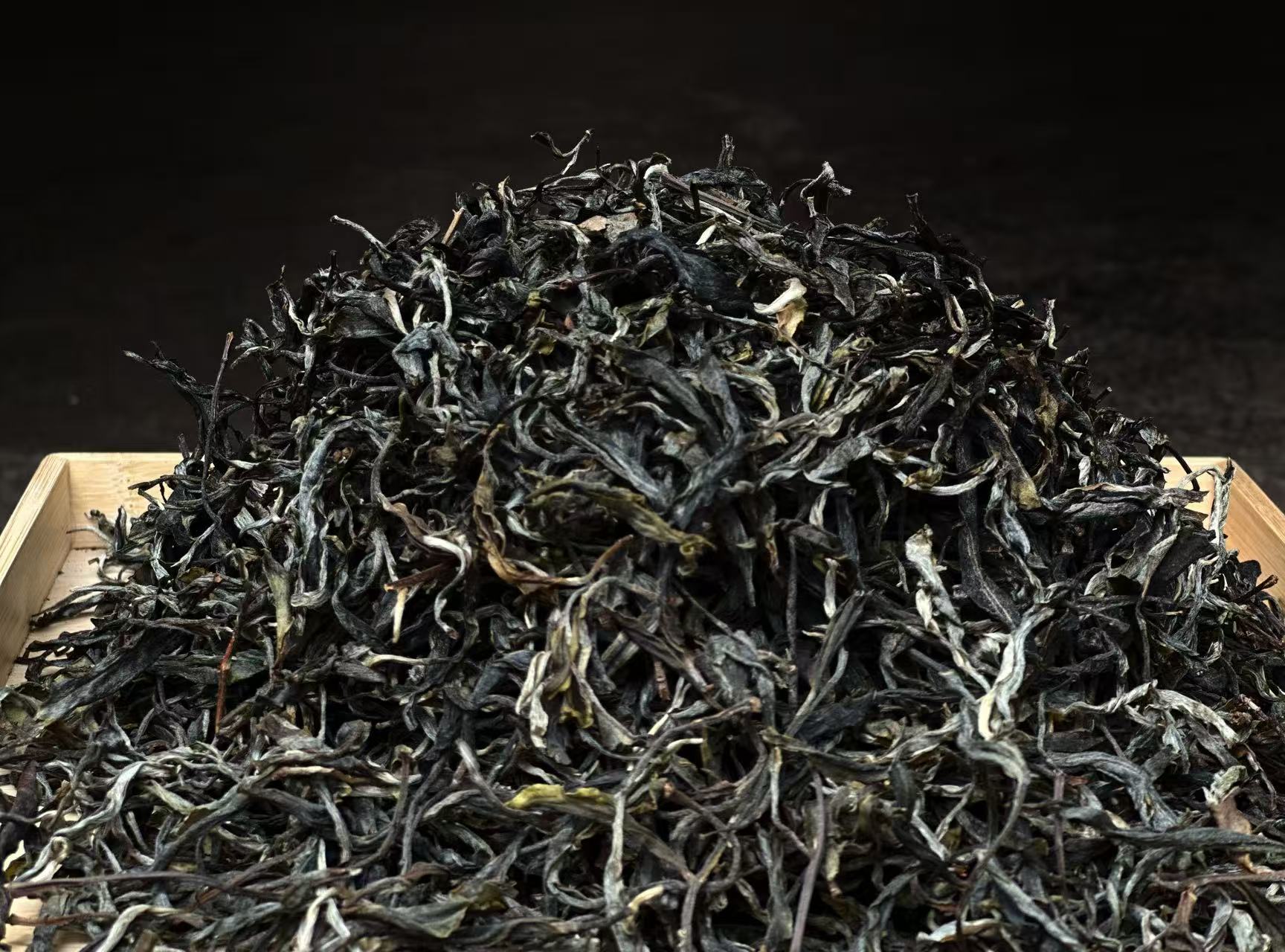 精选五棵桩 【老鱼真的在选 】普洱生茶