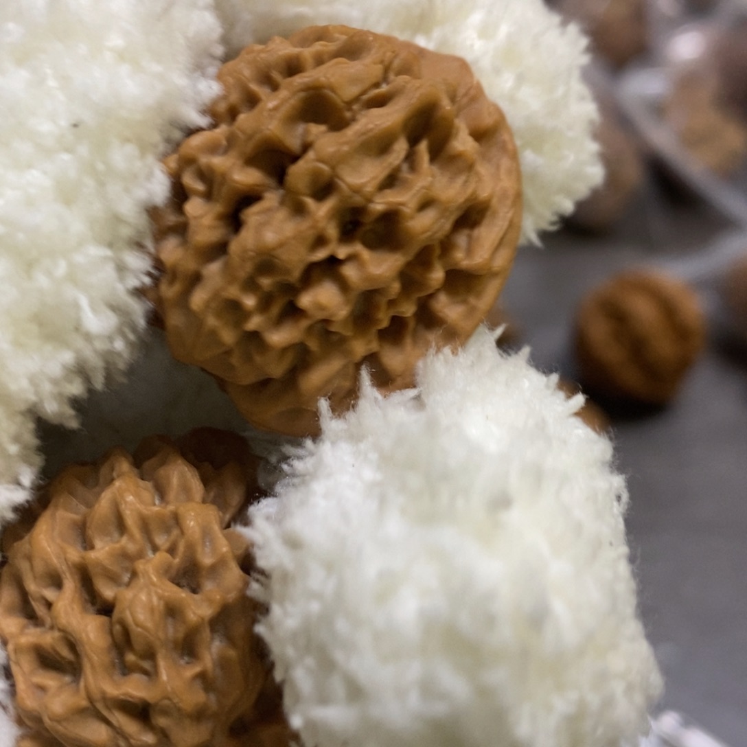 秦岭森林中出现大量秦闷