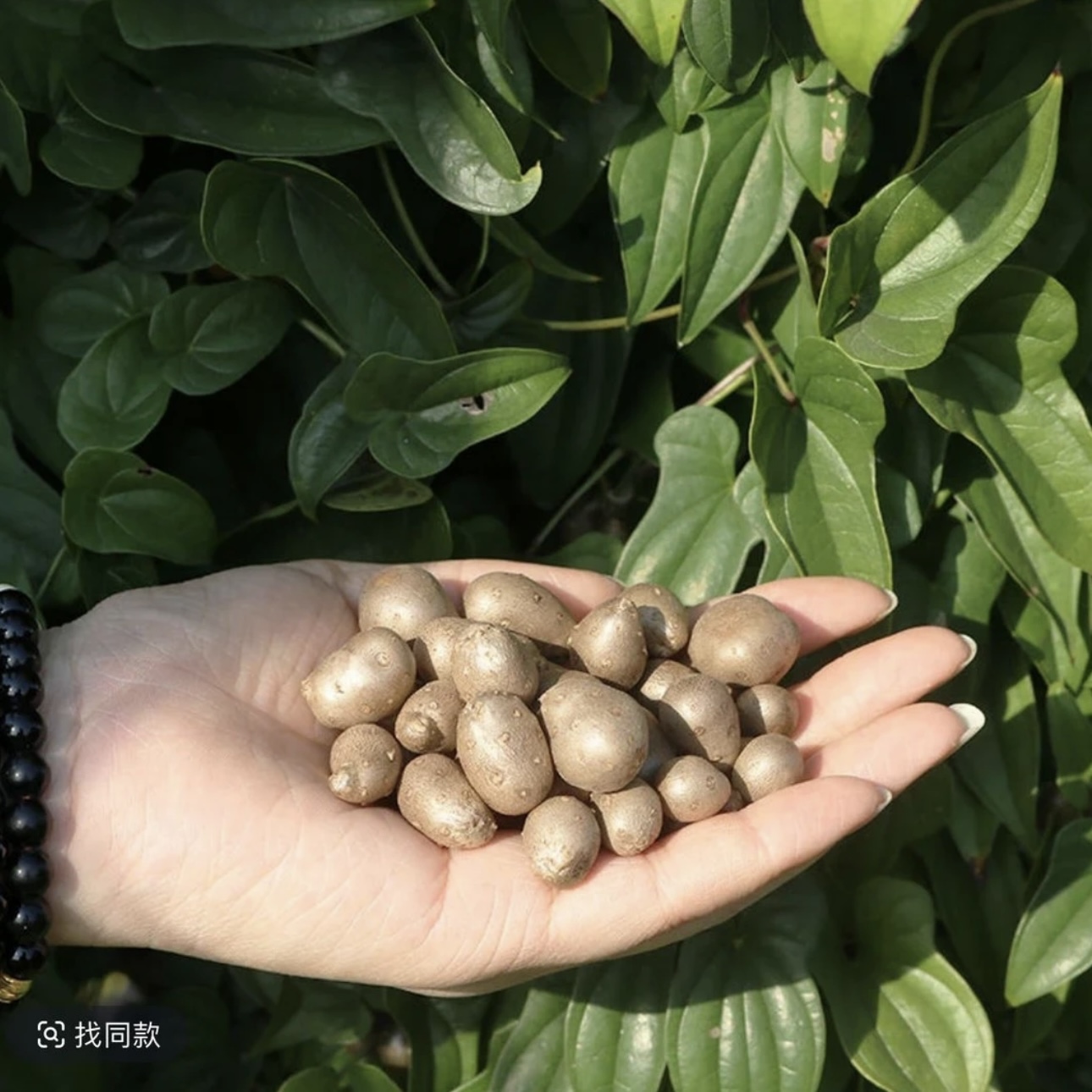【大欢专属】麻山药豆一袋装