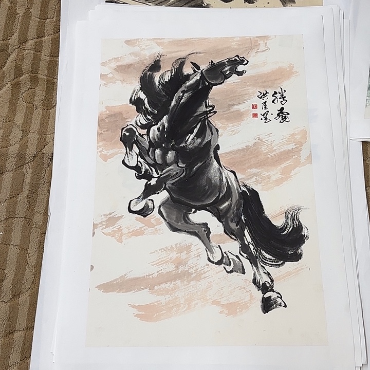 国画花鸟等多种鸟类的栖息70.45