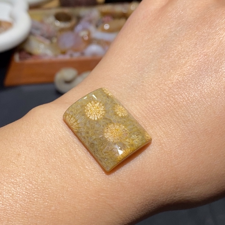 【闪购商品】未镶嵌珊瑚玉硅化玉