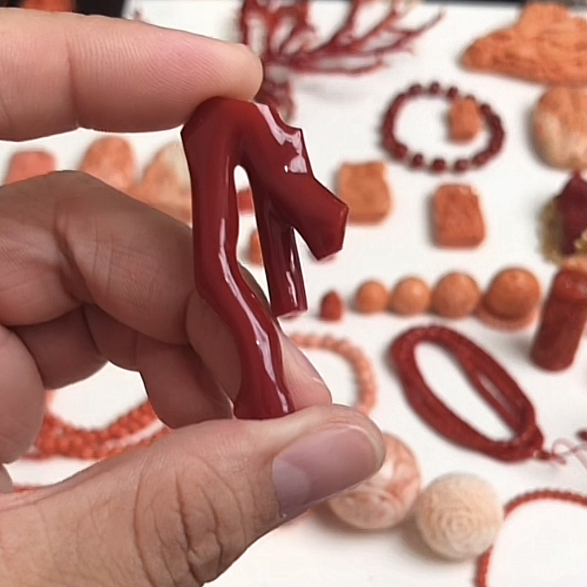 aka珊瑚原枝一个