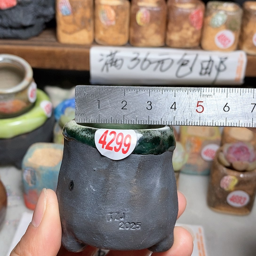 红陶拍5送一个小