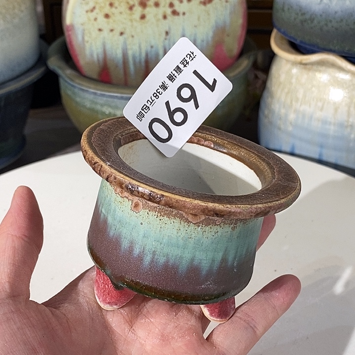 花盆花盆花盆花盆花盆花盆