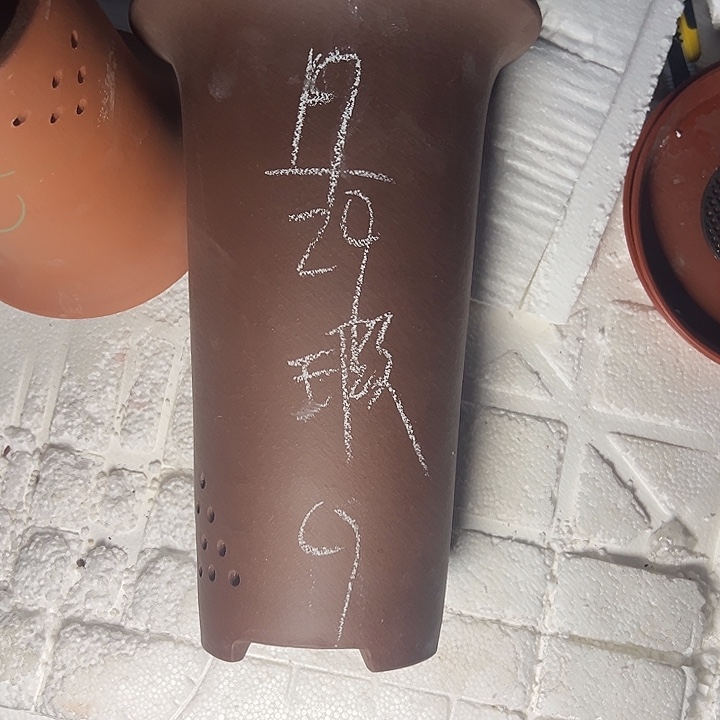 周三周四这是真的最大的数字是 