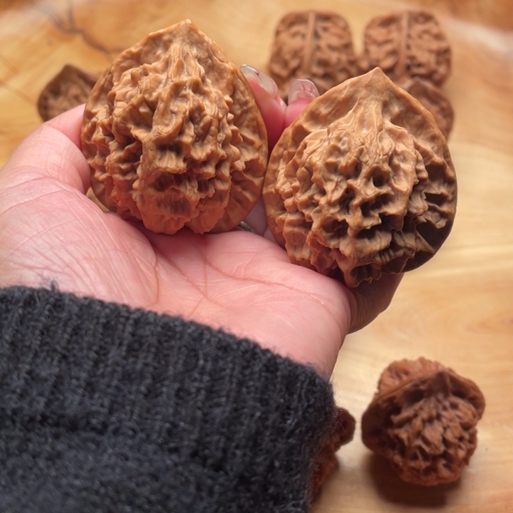 张***来核桃手串/手链秦岭野生核桃