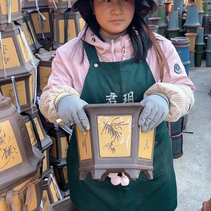 紫砂花盆盆栽花卉苗木种植