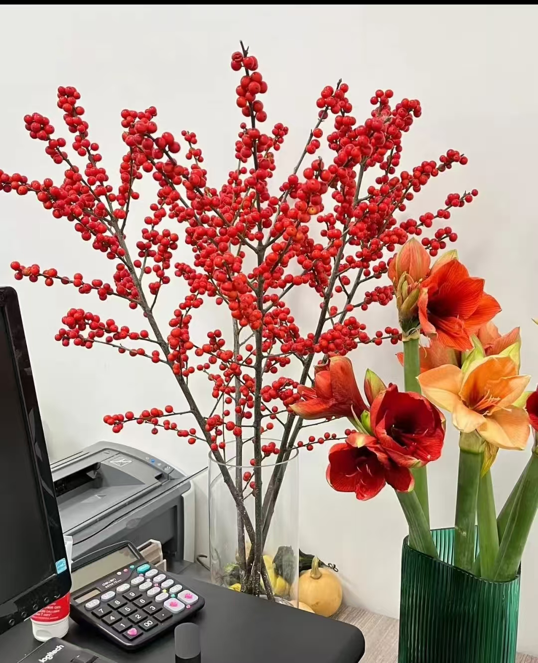 3A北美冬青鲜切枝60~70cm真花室内观果