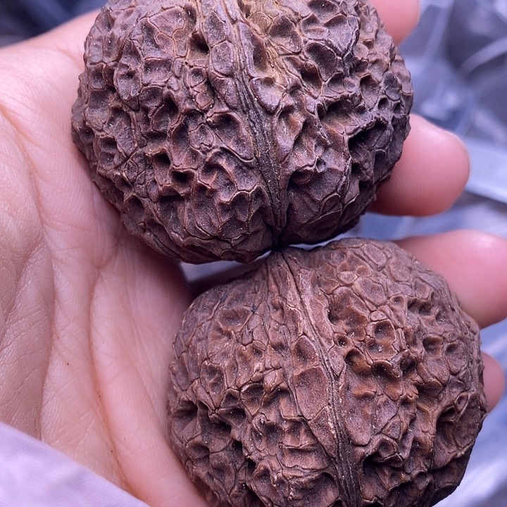 把件文玩核桃   50