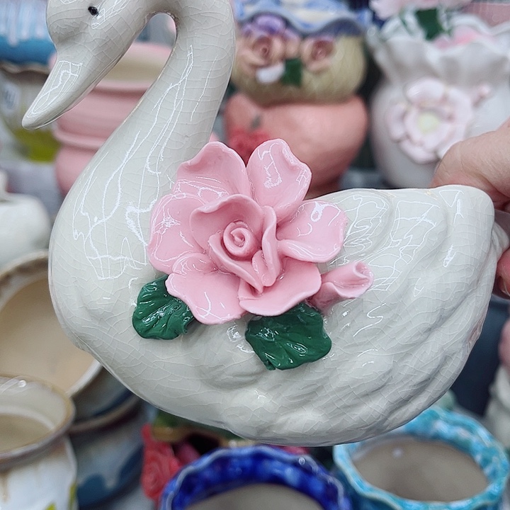 多肉植物陶瓷花盆