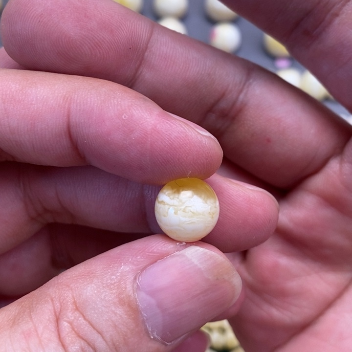 未镶嵌蜜蜡裸石很****特