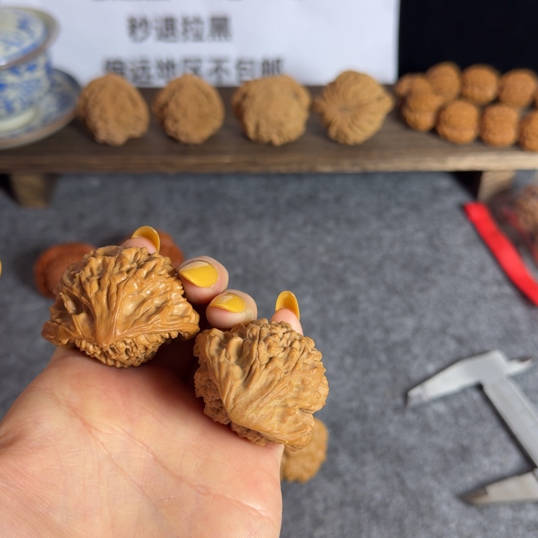 全品43官帽蛇有浮黄轻微不影响走色不退换