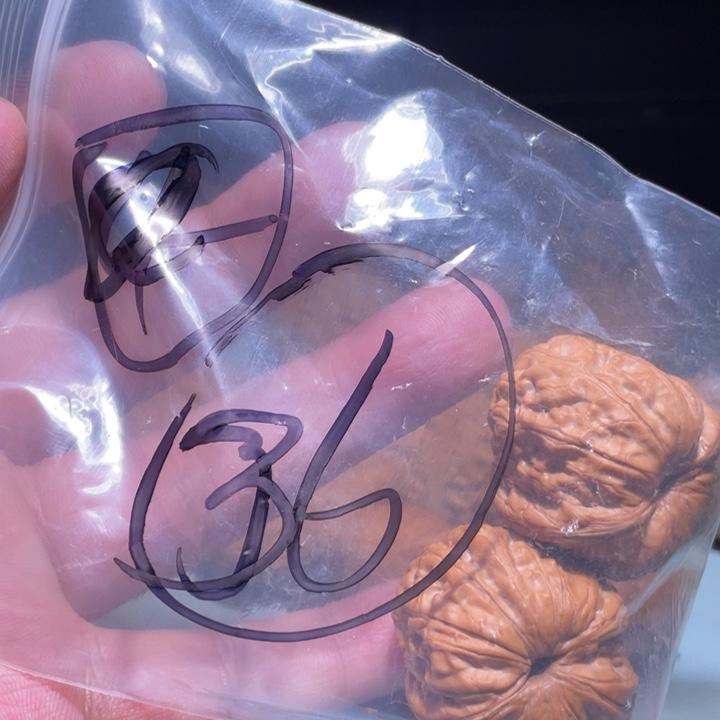 文玩核桃吊坠36呃呃呃