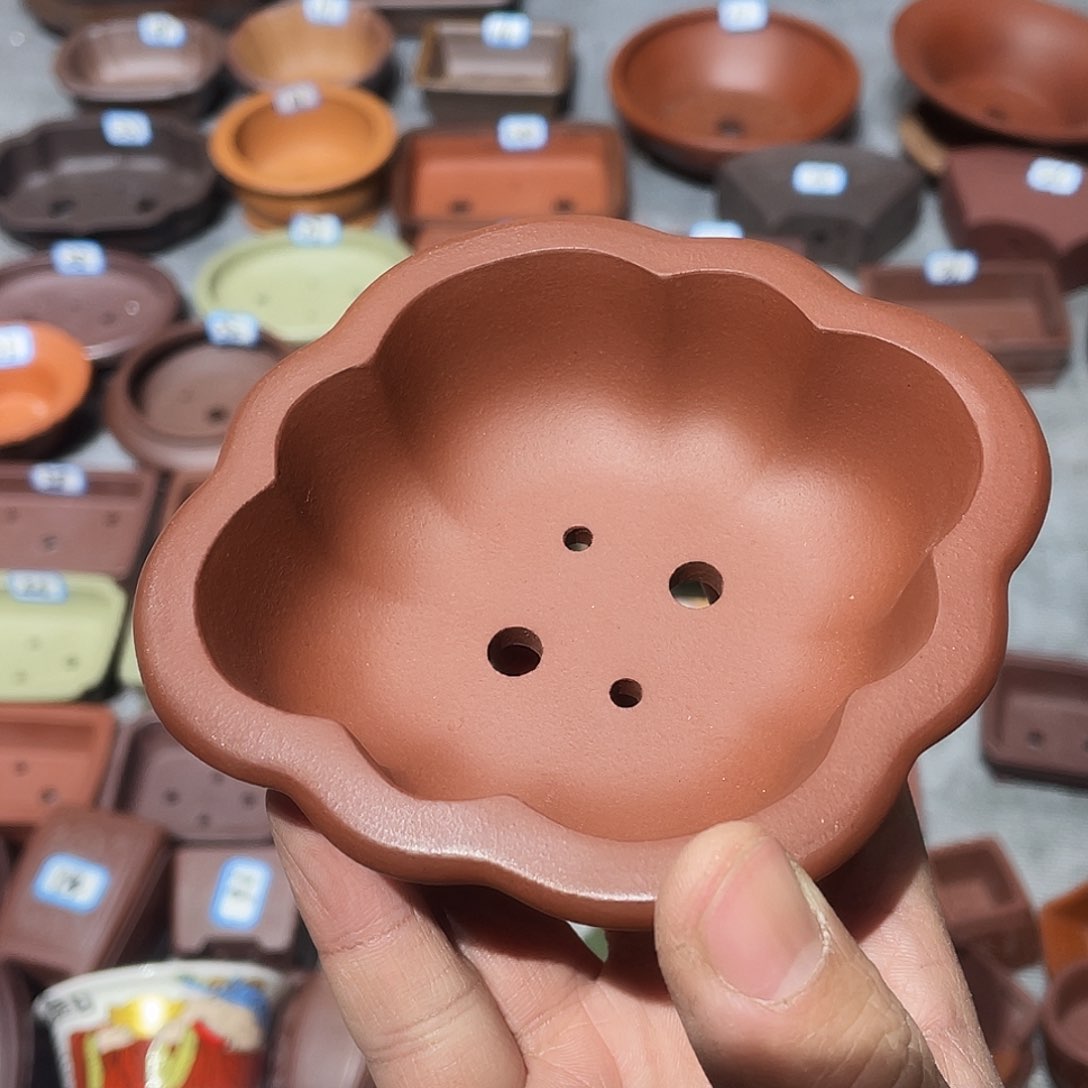 紫砂曹*紫砂小盆9.5