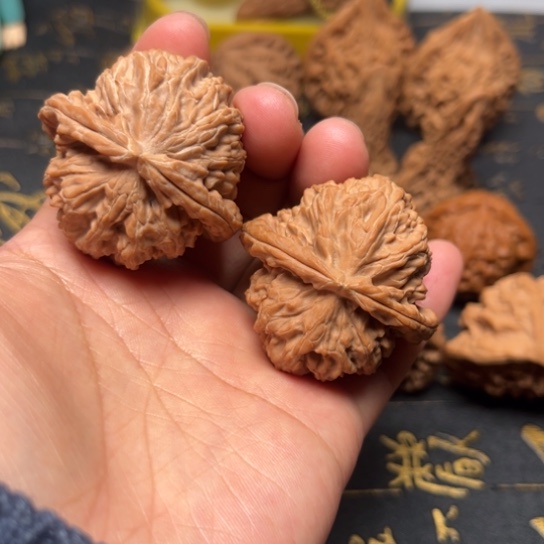 白狮子41尺文玩把件