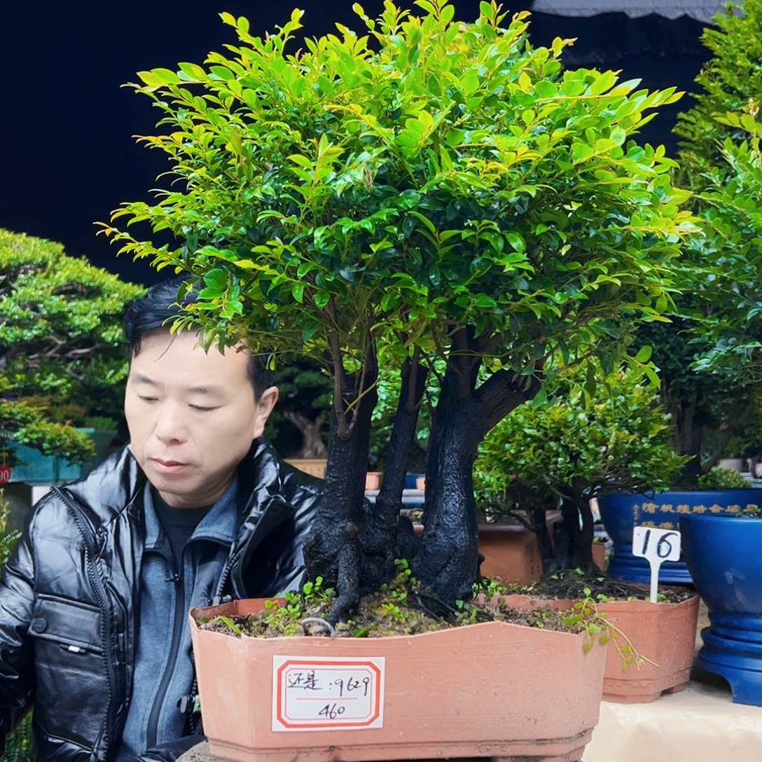 以实际为准还***我13455678