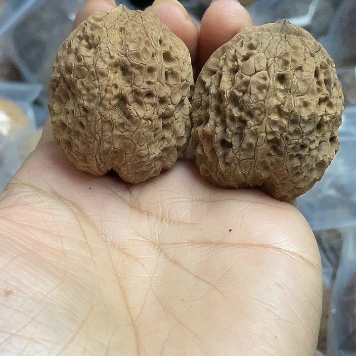 文玩核桃把件云南铁核桃基地21