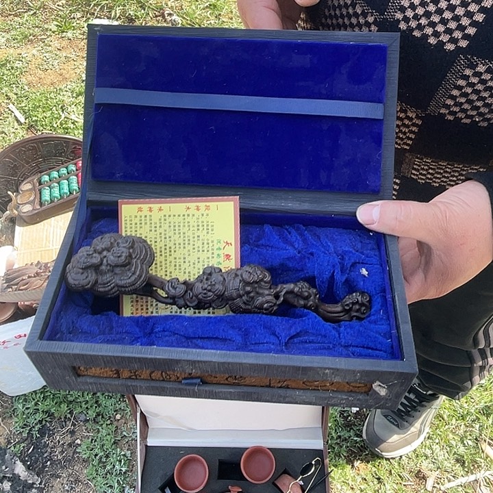 我的收藏已经开始啦，